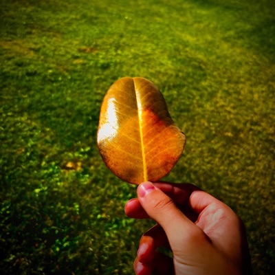 Speaking of love... (feat. Jad0) - Single