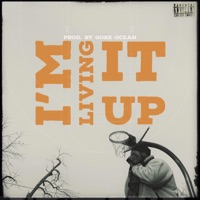I'M Living It Up - Single - NZLDR