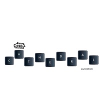 dont play this shit. (feat. SteezTheProducer & Maajins) - Single - Qua