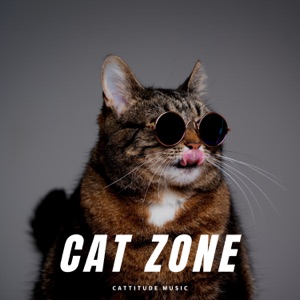 Cat Zone