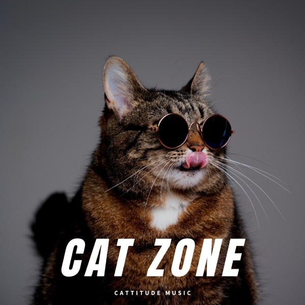 Cat Zone