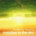 Meadow in the sky