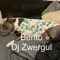 Bento - DJ Zwergul lyrics