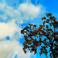 Wonder - Single - Swat