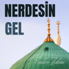 Nerdesin Gel - Ender Tekin