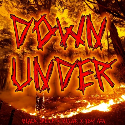Down Under (feat. Bleak & YDM Arfa) - Single