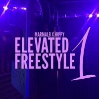 ELEVATED FREESTYLE 1 (feat. El Hippy) - Single - Dr. Marmal8
