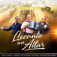Oro de Ofir