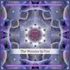 The Wonder In You