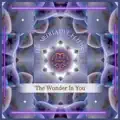 The Wonder In You