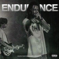 Endurance Pt. I - Lobes