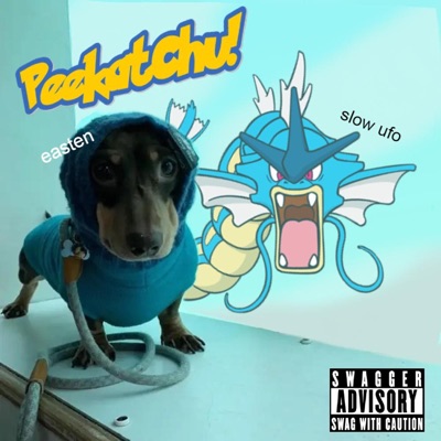 Peekatchu/Wand Talk - Single