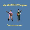 Sylvain Luc Le Saltimbanque (feat. Sylvain Luc) Le Saltimbanque - Single (feat. Sylvain Luc) - Single