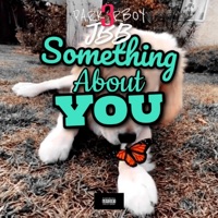 Something About You (feat. JBB) - Single - Park3rBoy