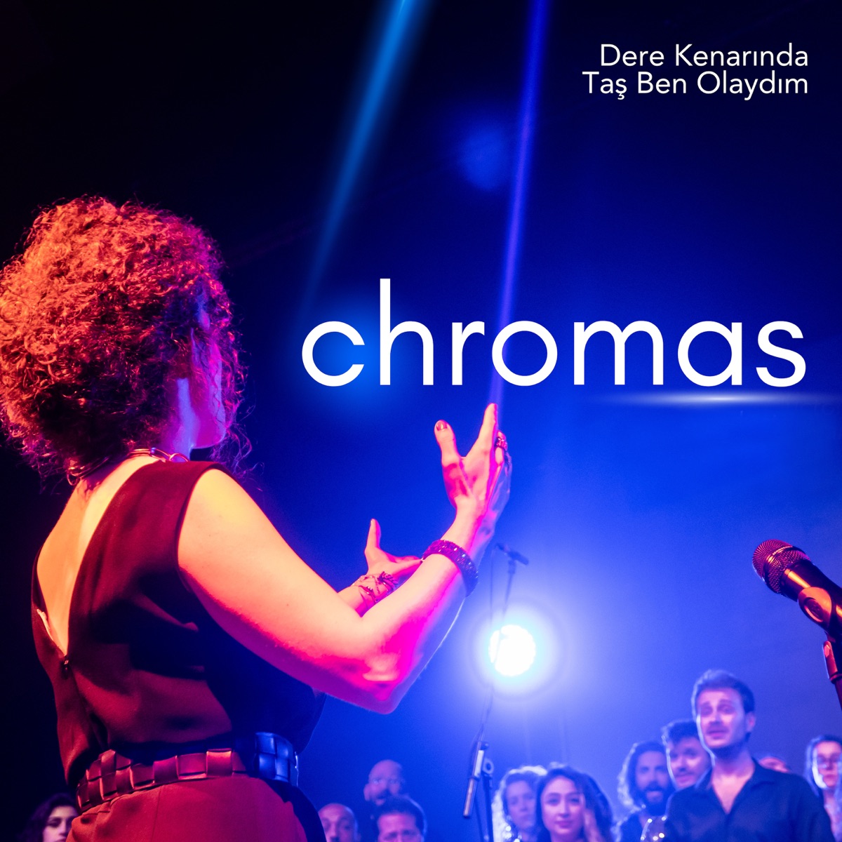 Dere Kenarında Taş Ben Olaydım - Single - Album by Chromas - Apple Music