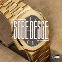 Sobe Desce (feat. Viewss) - Single - Harboh