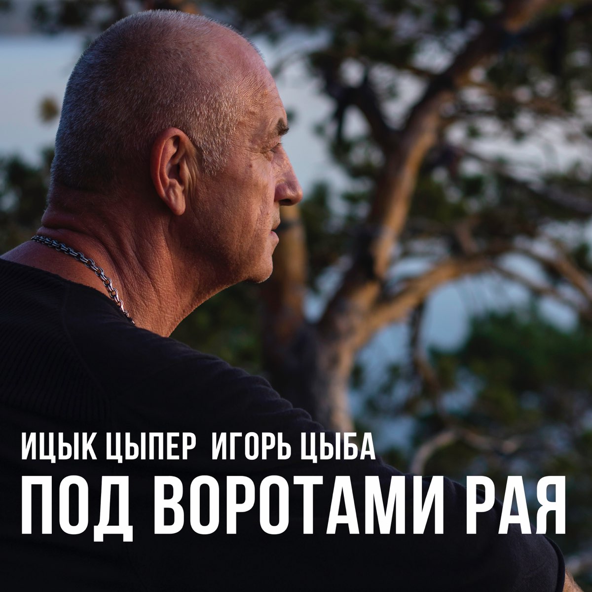 ‎Под воротами рая - Single - Album by Ицык Цыпер & Игорь Цыба - Apple Music