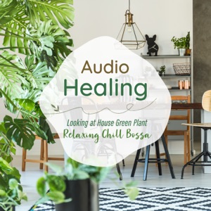 Audio Healing Looking At House Green Plant -Relaxing Chill Bossa-