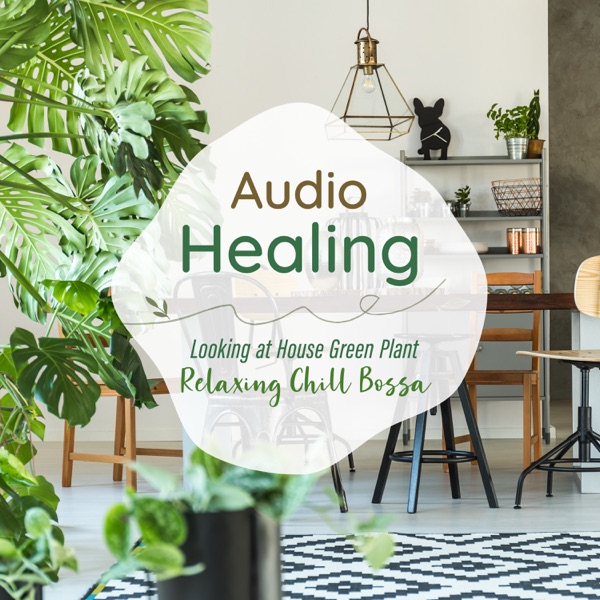 Audio Healing Looking At House Green Plant -Relaxing Chill Bossa-