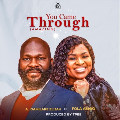 You Came Through (Amazing) (feat. fola amoo) - Single