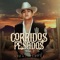Calderón - Alemi Bustos lyrics