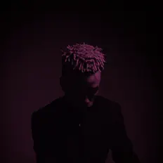 Pink Noisを聴いたり、ミュージックビデオを鑑賞したり、経歴やツアー日程などを確認したりしましょう！
