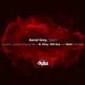 Scarlet (Nelin Remix)