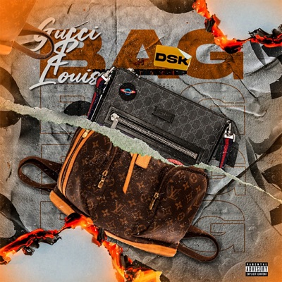 Gucci & Louis Bag - Single