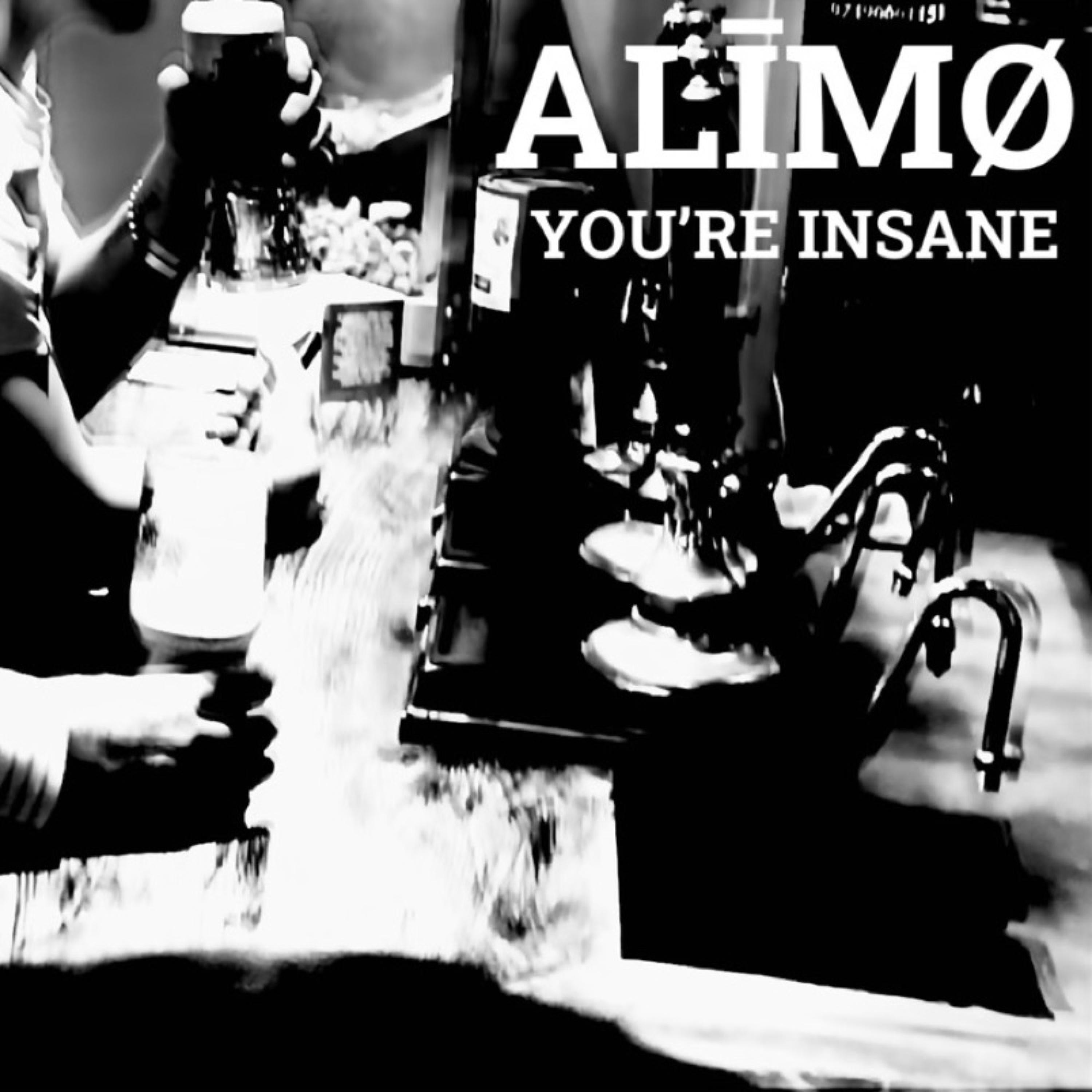 You're Insane - Single