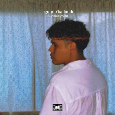 Seguimo'bailando (feat. DímeloDrum) - Single