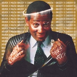 Never Too Much (Radio Edit) Grizzy & Cheery-O