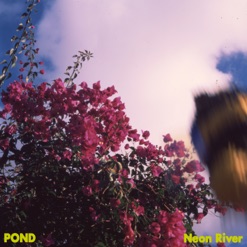 NEON RIVER cover art