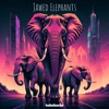 Jawed Elephants - Single