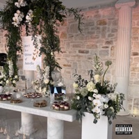 Vows - Single - Jano