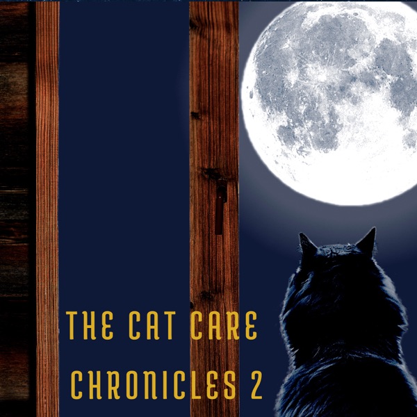 The Cat Care Chronicles 2