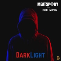 DarkLight (feat. Chill Moody) - Single - MeatSpady