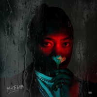 Mud to Water - Jillz