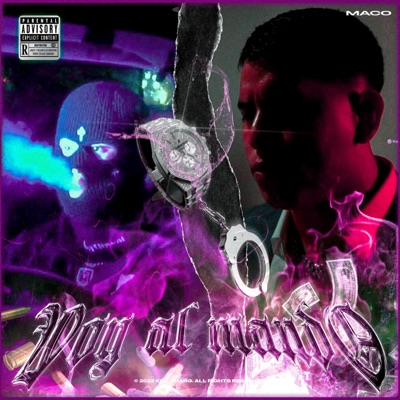 Voy Al Mando - Single