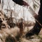 Antigone - Steph Strings lyrics