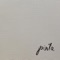 Pinta - Juhana Lindström & Aki Himanen lyrics