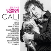 20 ans d'Amour Parfait artwork