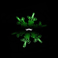 Every little thing - Single - I321