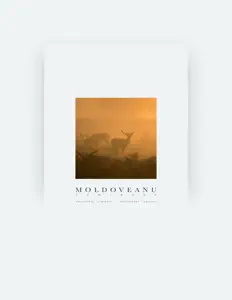 Listen to Moldoveanu, watch music videos, read bio, see tour dates & more!