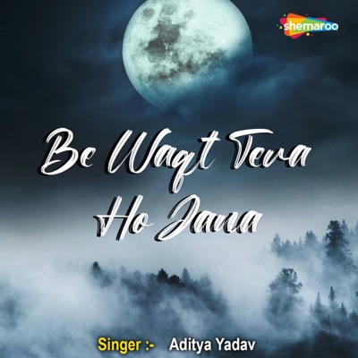 Be Waqt Tera Ho Jana - Single
