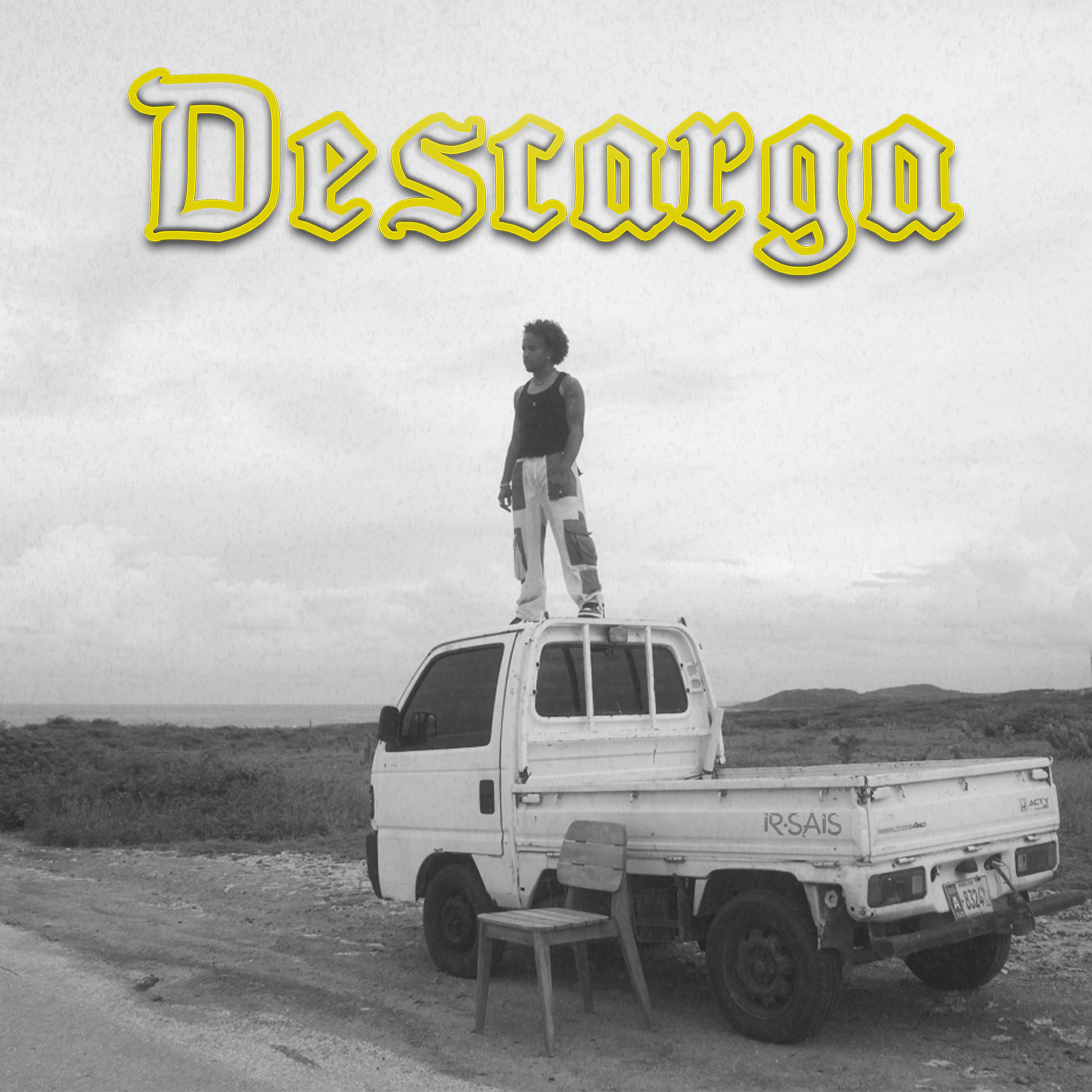 DESCARGA (Mashup) - Single