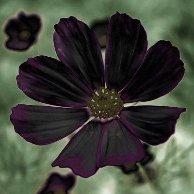 Don't cry (feat. Joe leow) [Special Version] [Special Version] - Single