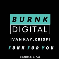Funk for You - Single - Ivan Kay & Krispi