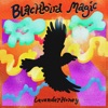 Blackbird Magic - Single