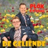Plök D'n Daag