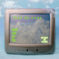 Trap de Gang (feat. Soni, Loo, Th & Dg) [A. Houz Remix] - Single - VDK